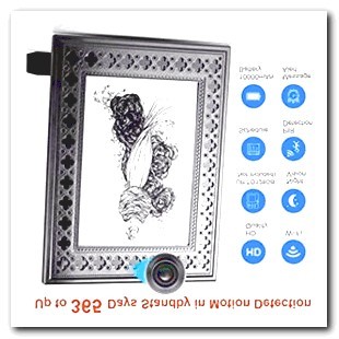 Hidden Camera Car Alarm